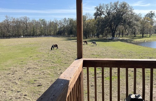 Charlton County House | Charming 3-bedroom barn lodge in Saint George.