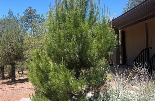 Star Valley House | Charming 3-bedroom country house with WiFi, AC in Star Valley