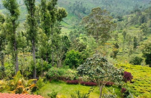 Kotagiri Cottage | Charming 4-bedroom cottage in quaint Kotagiri with WiFi