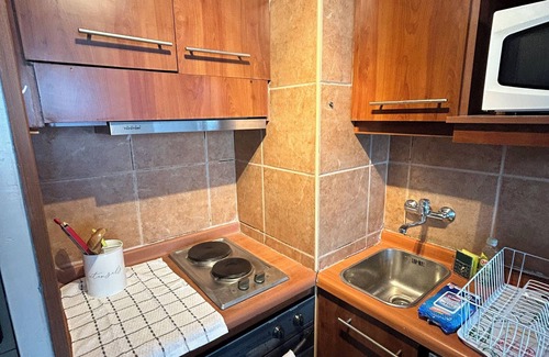 Downtown Santiago Apartment | Charming and beautiful apartment in Santiago, Plaza Italia.