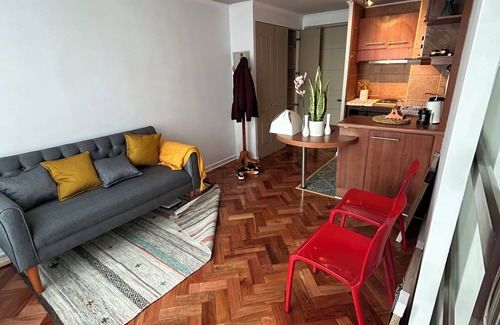 Downtown Santiago Apartment | Charming and beautiful apartment in Santiago, Plaza Italia.