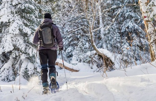 Lanesborough Apartment | Charming Apt in 18th c Berkshire Farmhouse