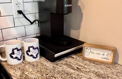 Woodway House | Charming Bluebonnet Bungalow: 1BR Guest House w/Kitchen, WiFi + AC - Waco, TX