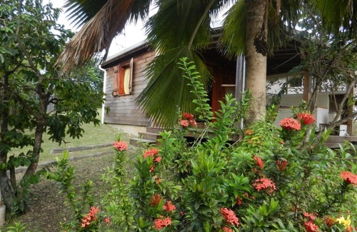 Sainte-Anne House | Charming bungalow, 200m from the beach, quiet, surrounded by greenery
