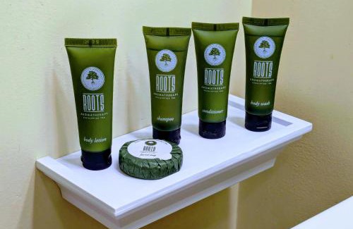 Dellslow House | Charming family home in private neighborhood