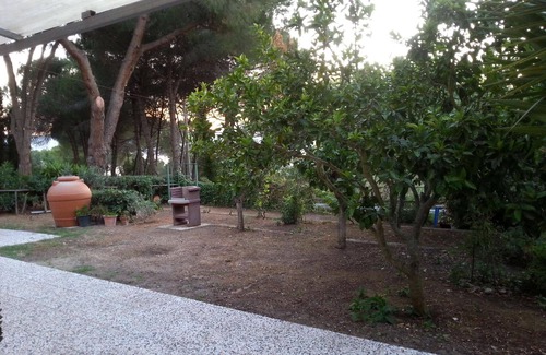 Lido di Capoliveri Apartment | Charming flat with private parking
