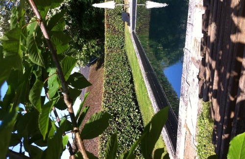 Yzeures-sur-Creuse House | Charming house, quiet, swimming pool, horse riding, park, nature.