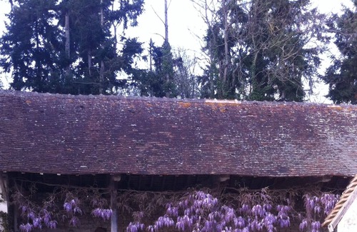 Yzeures-sur-Creuse House | Charming house, quiet, swimming pool, horse riding, park, nature.