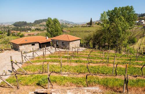 Castelo de Paiva House | Charming House Fornos + Pool