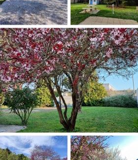 Aytre House | Charming house