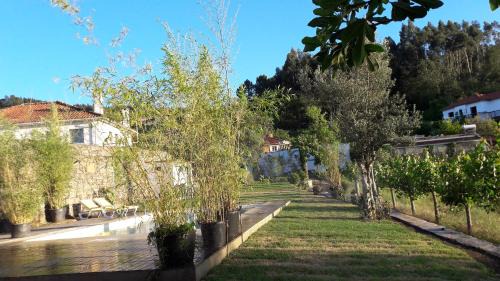 Povoa de Lanhoso House | Charming House in Covelas with Pool and Mountain View