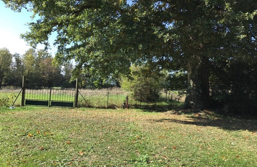 Betete Cottage | Charming house with private sauna