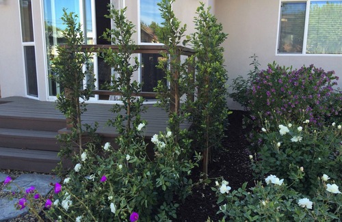 Lake Balboa House | Charming, Lovely & Unique!