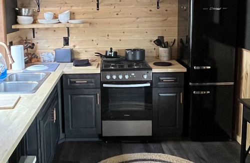 Crestline Cottage | Charming Mountain Cottage. Crestline, CA. Pet-Friendly with Huge Backyard.