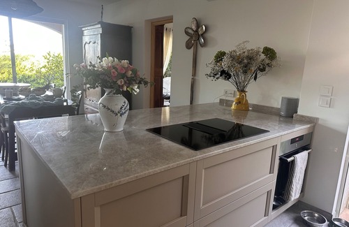 Tourrettes-sur-Loup Villa | Charming Provencalvilla, swimming pool, pool house,very quiet,south, olive trees