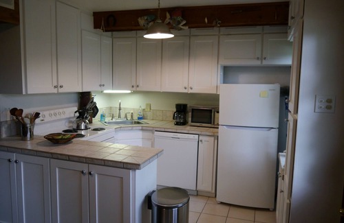 New Braunfels House | Charming river front cabin with private dock