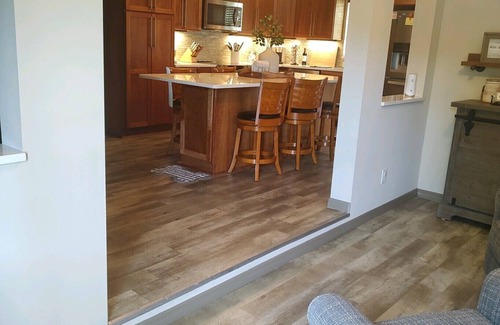 Homosassa House | Charming Stilt House on the Homosassa/Halls river WATERFRONT