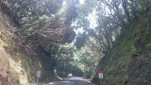 Los Cristianos Apartment | Charming Suite ocean view heated pool