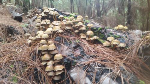 Los Cristianos Apartment | Charming Suite ocean view heated pool