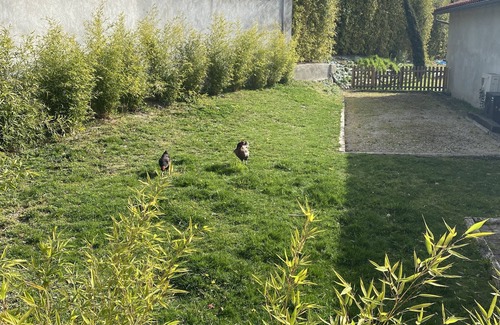 Launaguet House | Charming T2-house on the outskirts of Toulouse