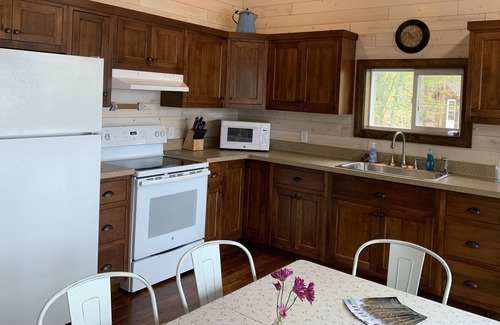 Land O Lakes Cottage | Charming updated cottage on Big Portage Lake