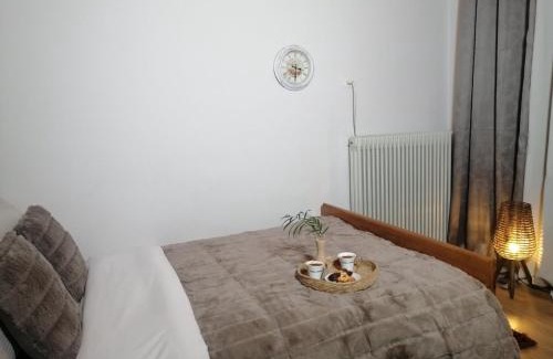 Pavliani Apartment | Charoula Pavliani Fthiotidas