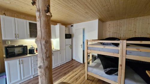 Stare Splavy Apartment | Chata Veverka