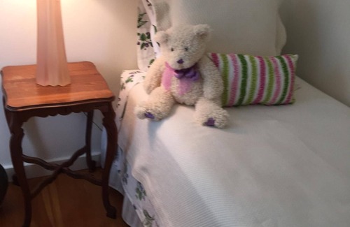 Richfield Springs Bed & Breakfast | Chatea du Lac Two Twin Beds