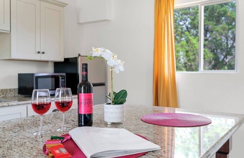 New Braunfels Villa | Chateau-Brahma, 2 private Bedrooms & pool