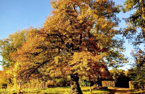 Lamaziere-Basse House | Chaumeil chambre d’hôte