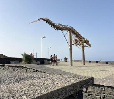 Los Silos Apartment | CHC - Apartamento Canarina