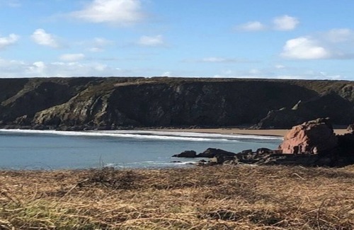 Tenby Cabin | Cheerful Clean One Dog Friendly Cottage Near Coast