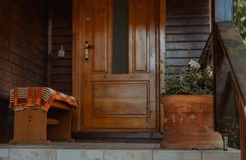 Auseu House | Cheerful Forest Cabin with Hot Tub!