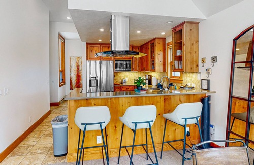 Telluride Condo | Cheerful, well-equipped mountain home with terrific views & fireplace