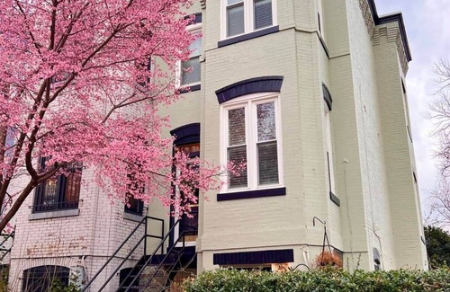 Stanton Park House | Cherry Blossom Charm