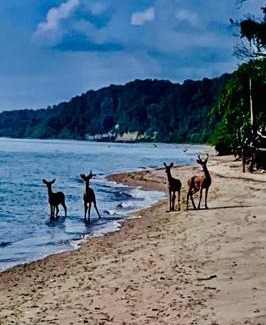 Port Republic House | Chesapeake Holiday House