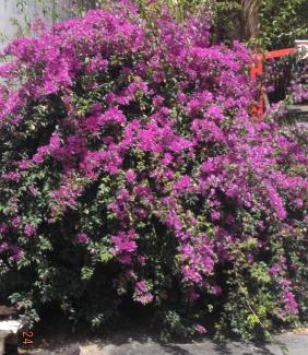 Morne-A-l'Eau House | chez annick et jacques