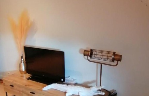 Schiltigheim Apartment | Chez Carine