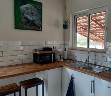 Auch Apartment | Chez Chapelle in the heart of the Gascony with pool, pets welcome!