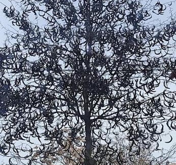 Centar Bed & Breakfast | Chez Nous