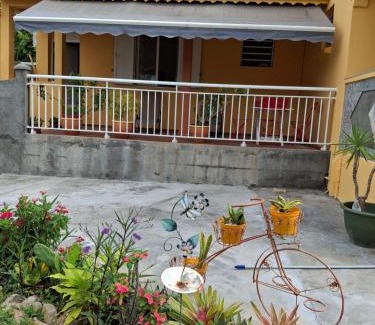 Duzer House | Chez pierre