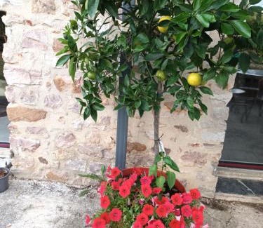 Sainte-Suzanne-and-Chammes Bed & Breakfast | Chez Zabou chambre nature