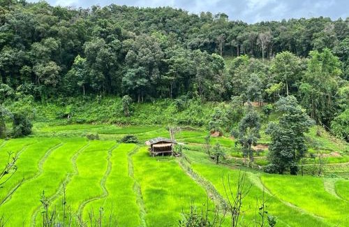 Samoeng House | Chibacall ชิบะคอล, Karen Mountain Hideaway Homestay
