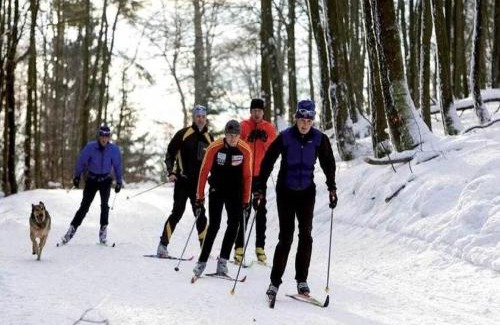 Stormbruch Apartment | Chic Apartment in Stormbruch near Ski Area