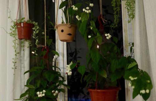 Kuching Apartment | Chic, Cozy Apartment for Travelers