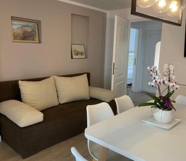 Viseu de Sus Apartment | Chic Studio Maramures