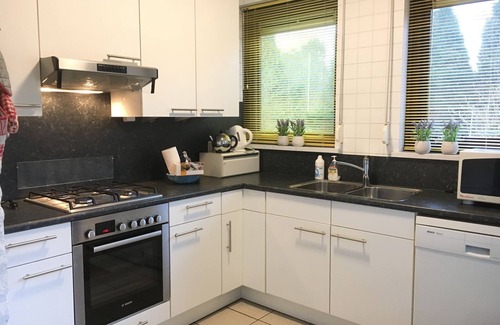 Burgh-Haamstede House | Child- and dogfriendly holiday home with a spacious garden, 4 bedrooms, 2 bathrooms