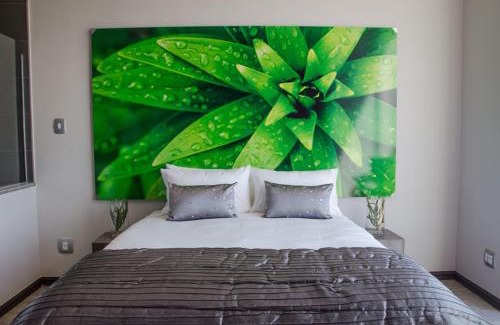 Nelspruit Hotel | Chill Pepper Boutique Hotel