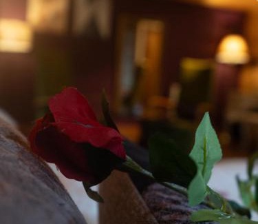 Storwood Villa | Chinchilla Lodge