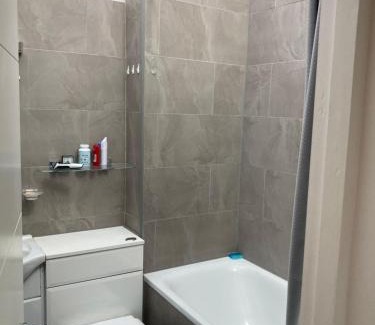 Turnham Green House | Chiswick Place